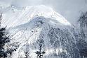 DSC_0280 (2)